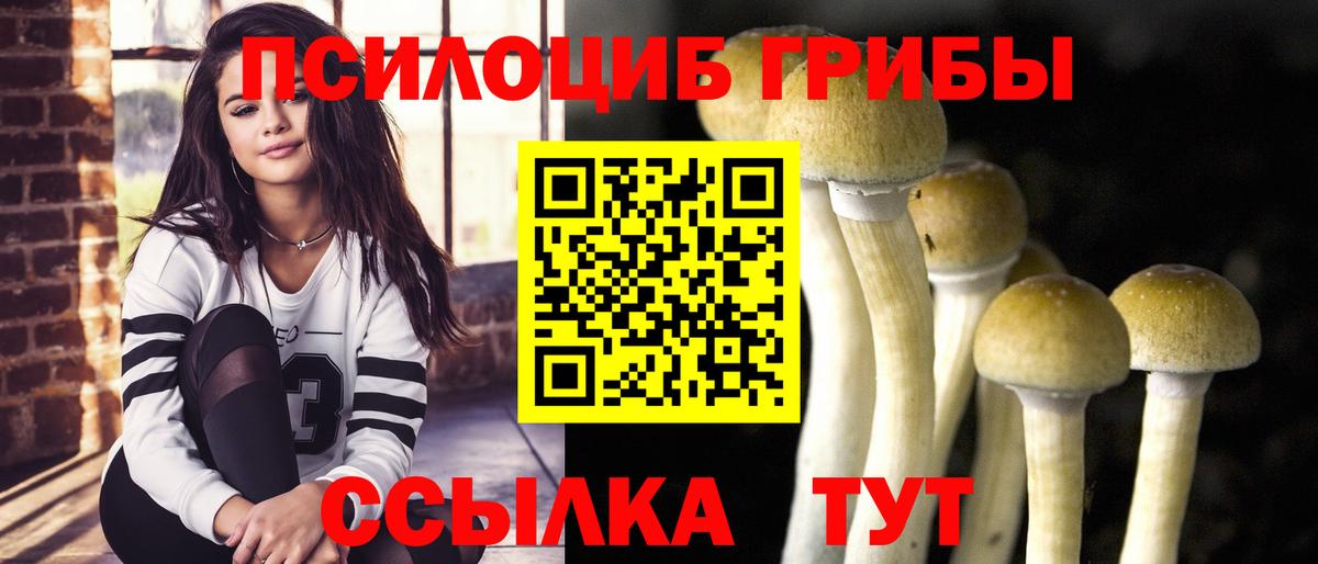 Балтийск  Галлюциногенные грибы MAGIC MUSHROOMS  Галлюциногенные грибы прущие грибы  Вход с VPN 